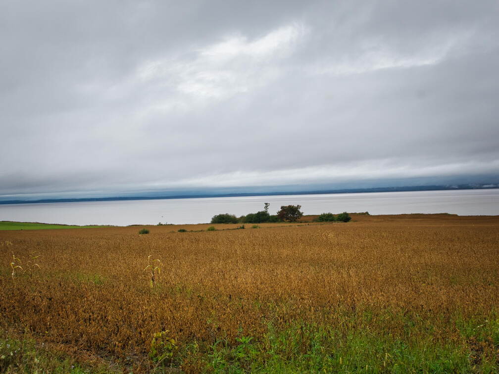 DSC 0384